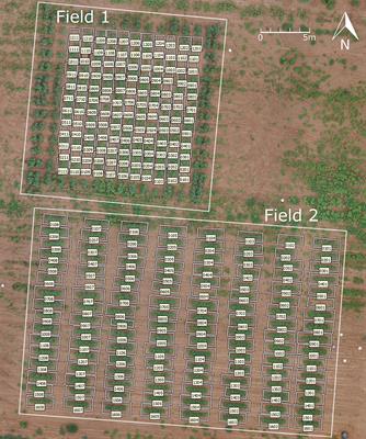 Aerial Images and Convolutional Neural Network for Cotton Bloom Detection